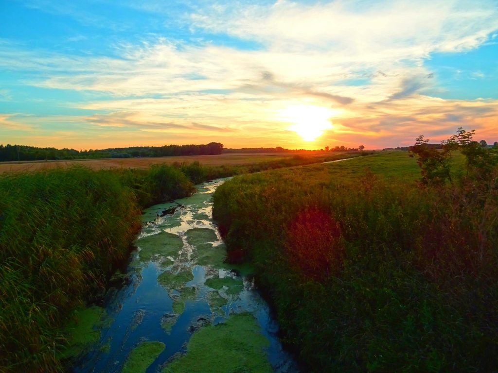 Tranquil view of sunset over a lush green meadow with a meandering water channel.